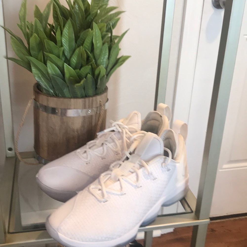 Lebron  James sneakers great condition sz 10.5